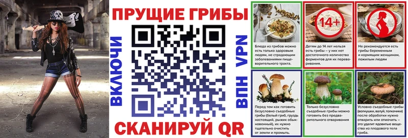 kraken онион  маркетплейс формула  Псилоцибиновые грибы ЛСД  Нижнеудинск 